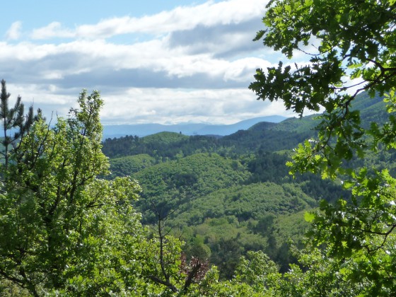 Les pré-Alpes