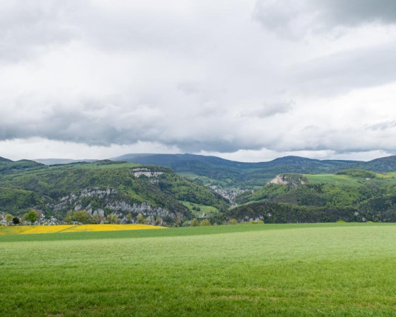 les prés d\'Oensingen Roggen