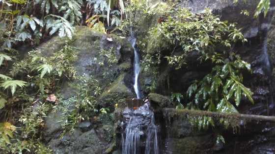 Les prises d\'eau