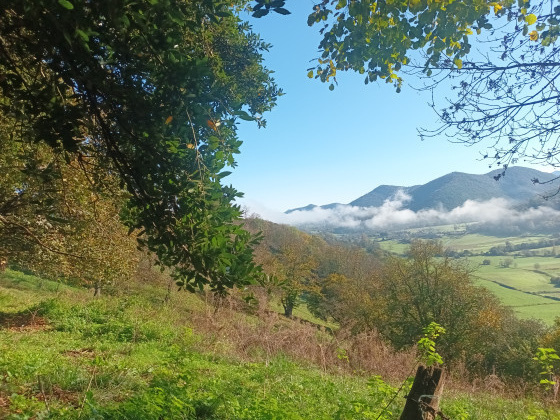 Les Pyrénées au loin