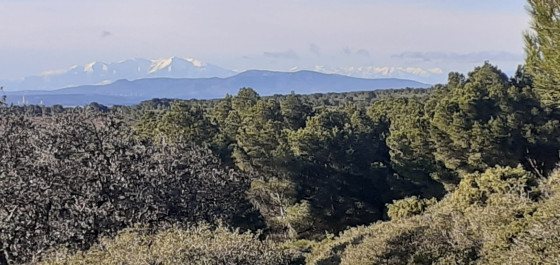 Les Pyrénées depuis La Clape