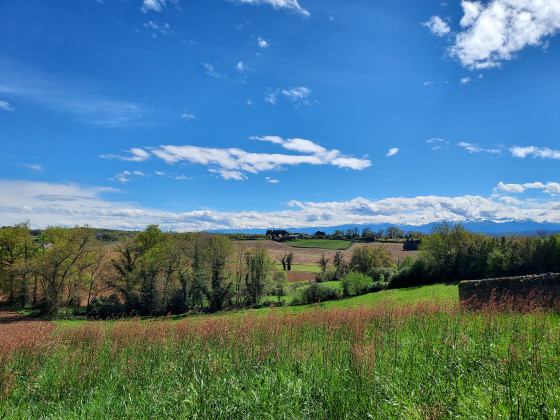 Les Pyrénées vues de la haut...