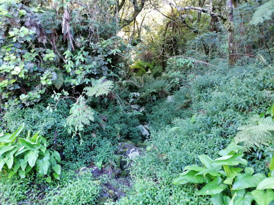 Les ravines