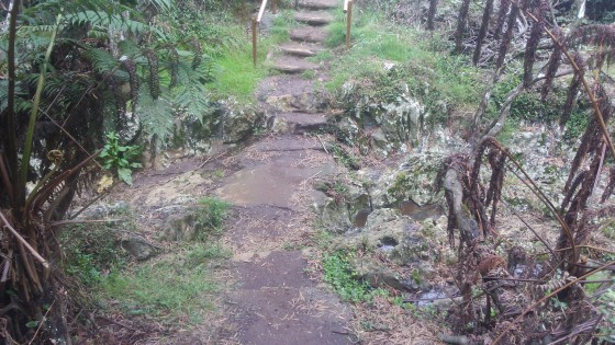 Les ravines