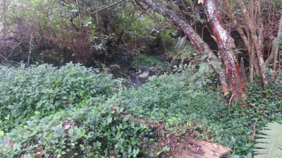 Les ravines