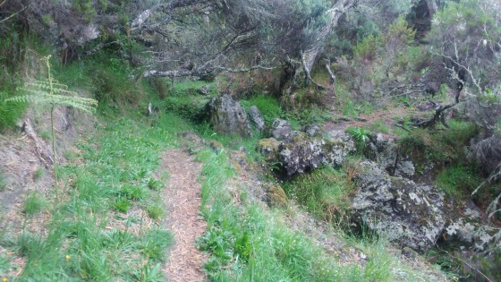 Les ravines