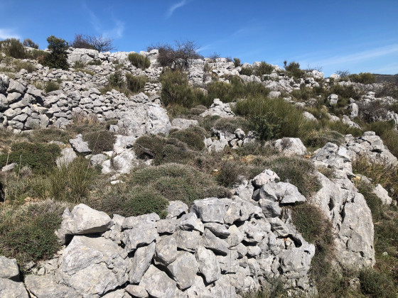 Les restanques de Scaletta