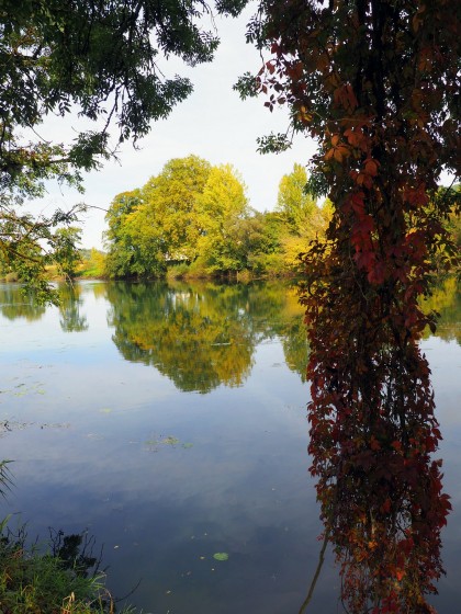 Les rives du Doubs