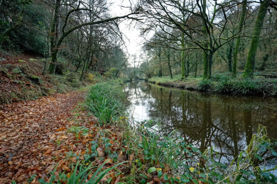 Les rives du Lié