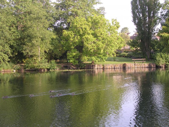 Les rives du Loing