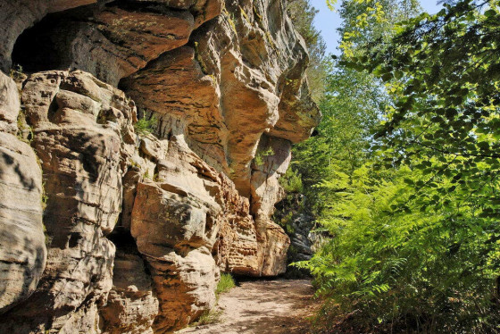 Les Roches de Pointhaie
