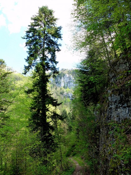 Les roches du C&ocirc;tard