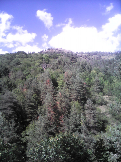 les roches