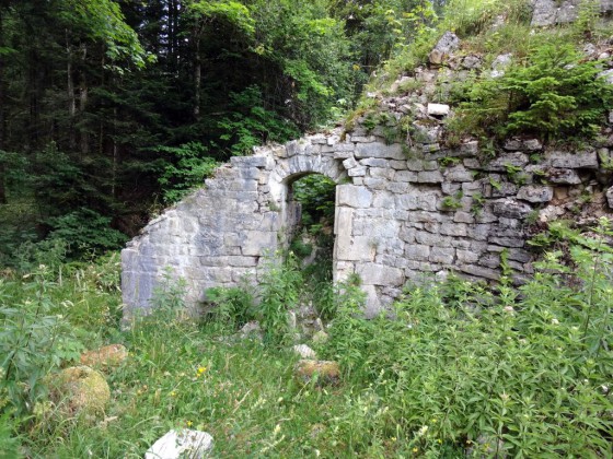 Les ruine du Château de Réaumont