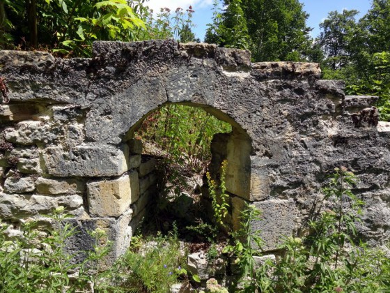 Les ruine du Château de Réaumont