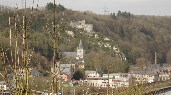 Les ruines de Crêvecoeur et le village de Bouvignes