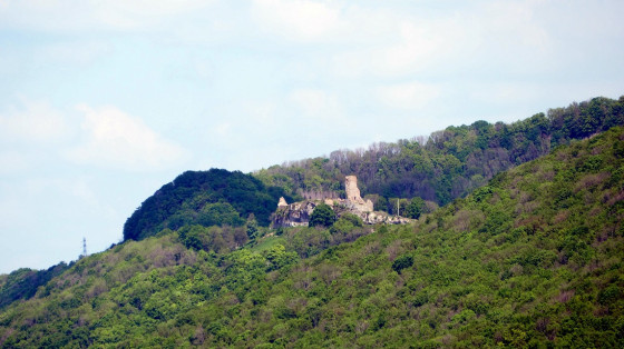 Les ruines du château de Montfaucon