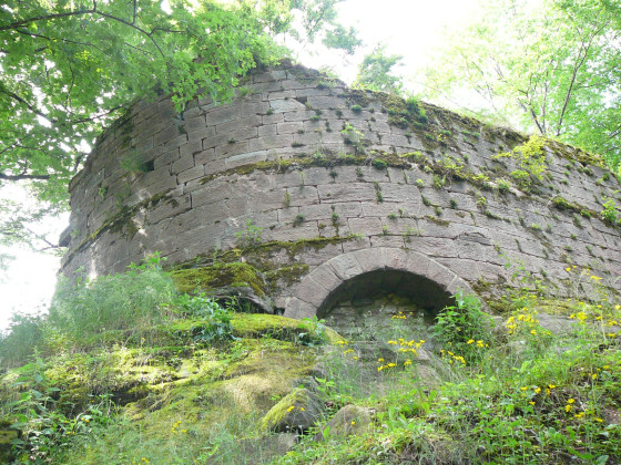 Les ruines du château de Salm.