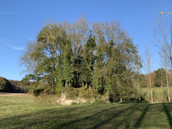 Les ruines du Ch&acirc;teau f&eacute;odal des Seigneurs d'Henripont