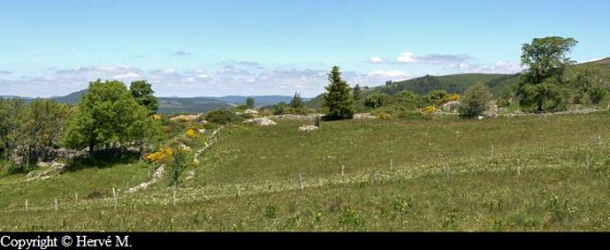 Les ruines du hameau de Chaumienne