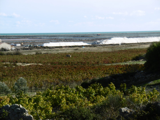 les salins