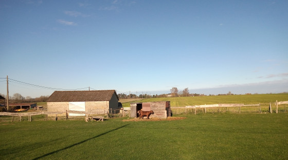 Les seules rencontres de la balade