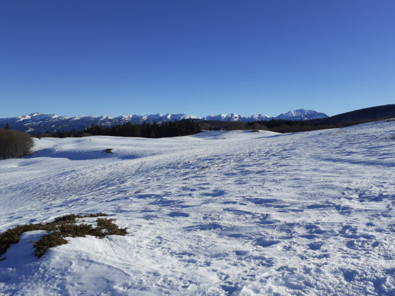 les sommets du Vercors depuis le font d'Urle