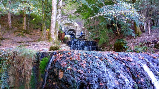 Les sources d'Arcier