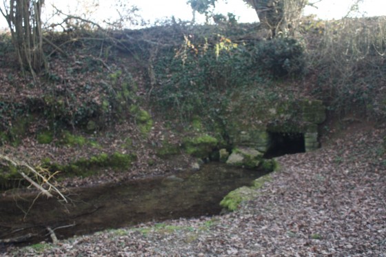 Les sources de la S&egrave;vre Niortaise
