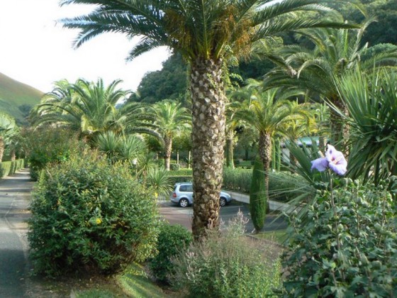 Les thermes