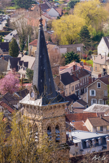 Les toits de Chevreuse