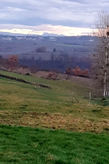 Les Trois Becs