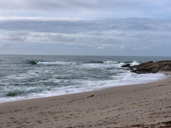 Les vagues sur la côte
