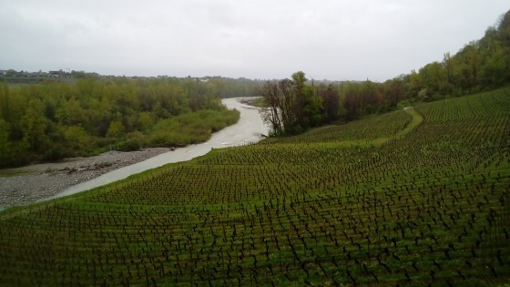 Les Vignes de Pont dominant la rivière Dranse