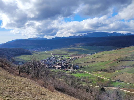 Les vignes et les villages de Westhalten et de Soulzmatt
