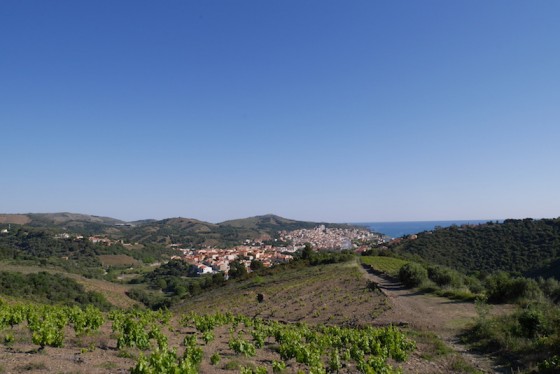 Les vignobles et Bagnyuls-sur-Mer