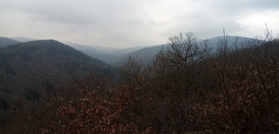 Les Vosges