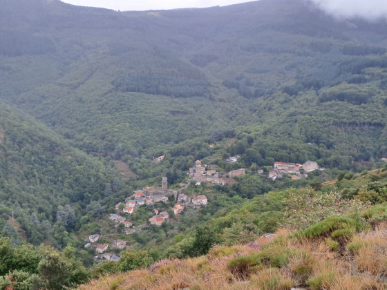 Lespinassi&egrave;res