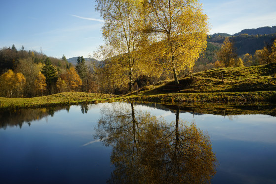 Letzbergweiher