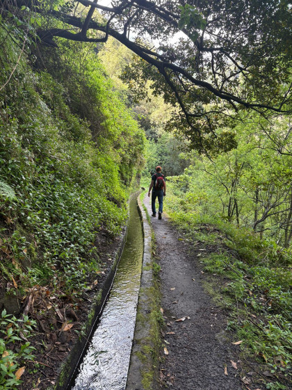 Levada do Castelejo
