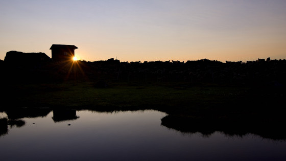 Lever de soleil sur la cabane pastorale du Lac de la Combe