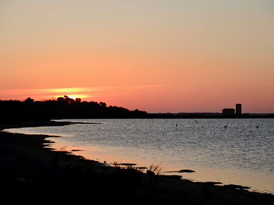 Lever de soleil sur les étangs