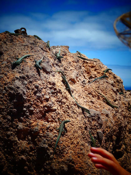 Lézards