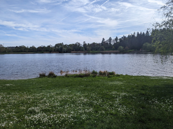 Liegewiese am Stausee