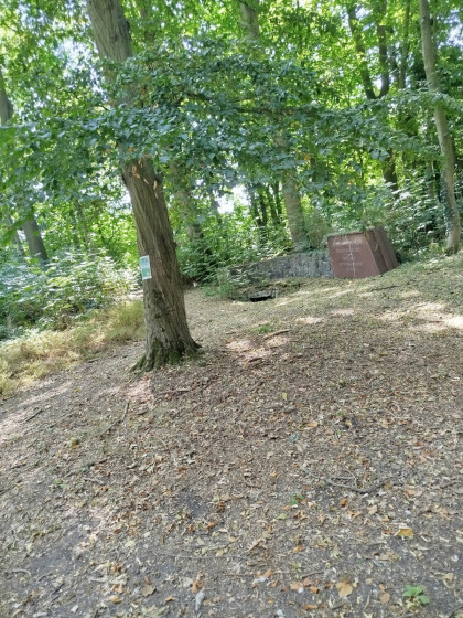 lieu de la découverte du charbon