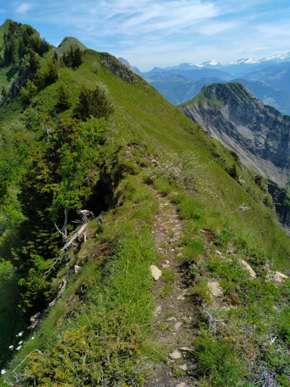 Ligne de cr&ecirc;te,
