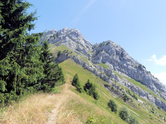 Ligne de crête