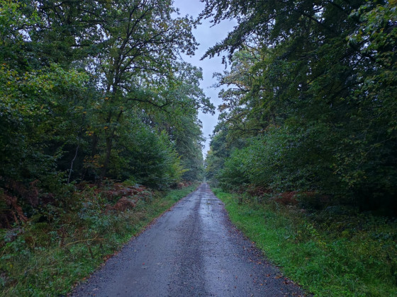 Ligne droite
