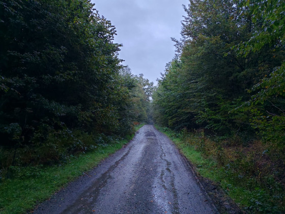 Ligne droite