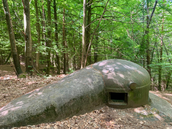 Ligne Maginot